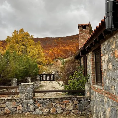 Nest Παλαιός Άγιος Αθανάσιος